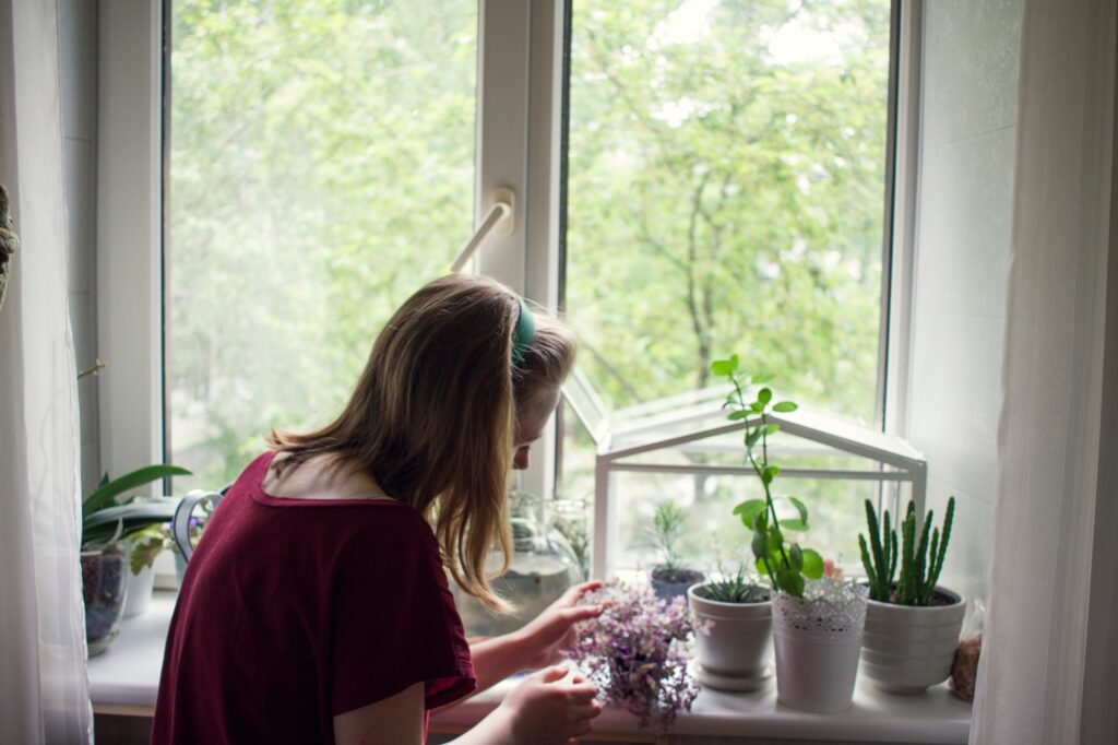 Plantas pequeñas